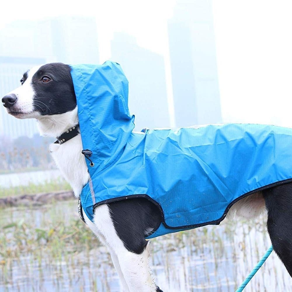 Impermeable para mascotas fácil de colocar y quitar