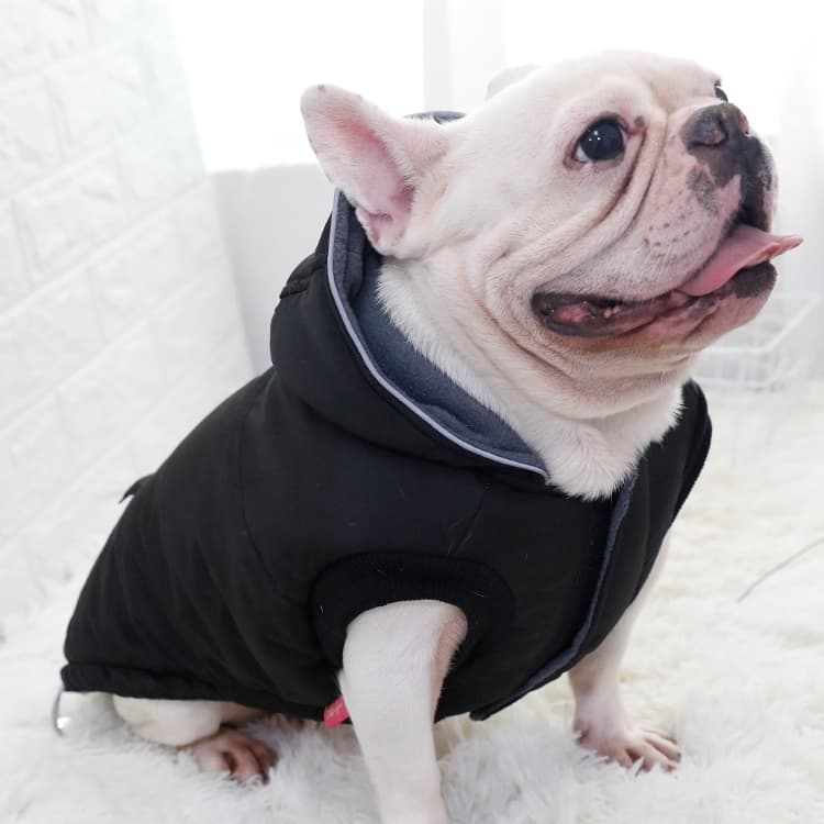 Chaleco acolchado grueso para mascotas
