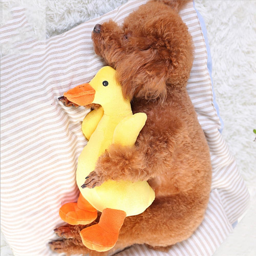 Juguete de peluche para perro con sonido