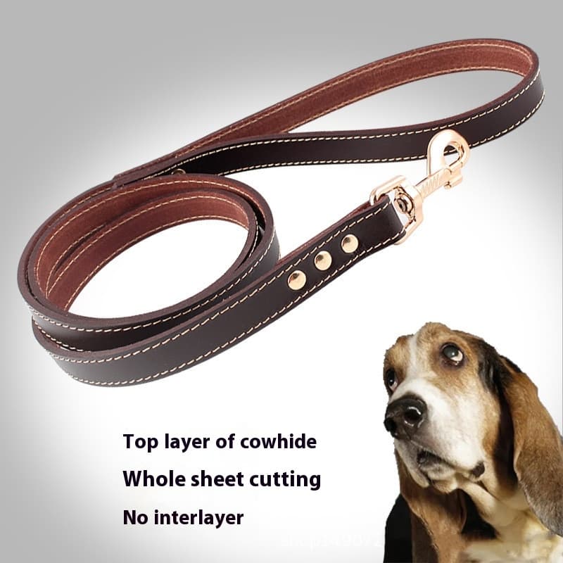 Correa para perro de cuero sintético
