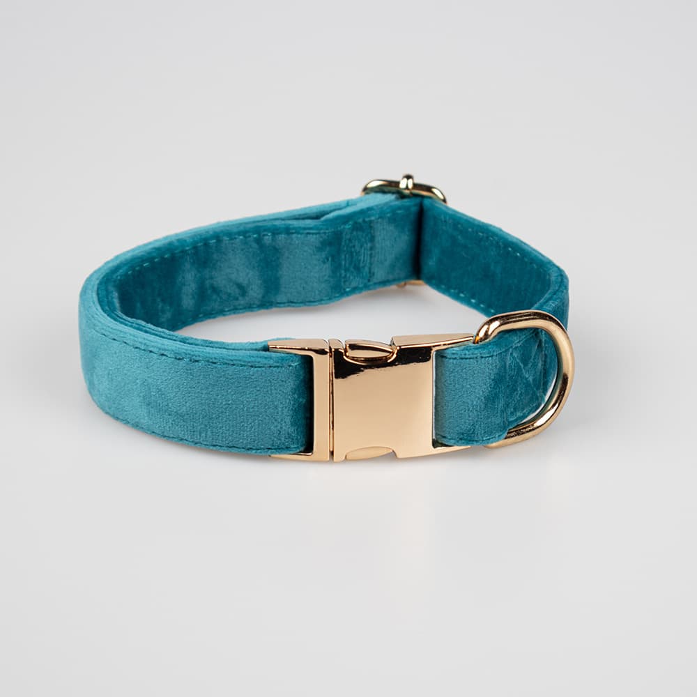 Collar de terciopelo con broche metálico para mascotas