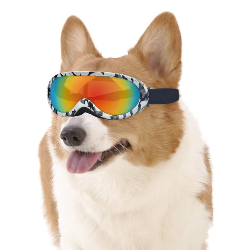 Gafas a prueba de viento para gatos con estilo para exteriores
