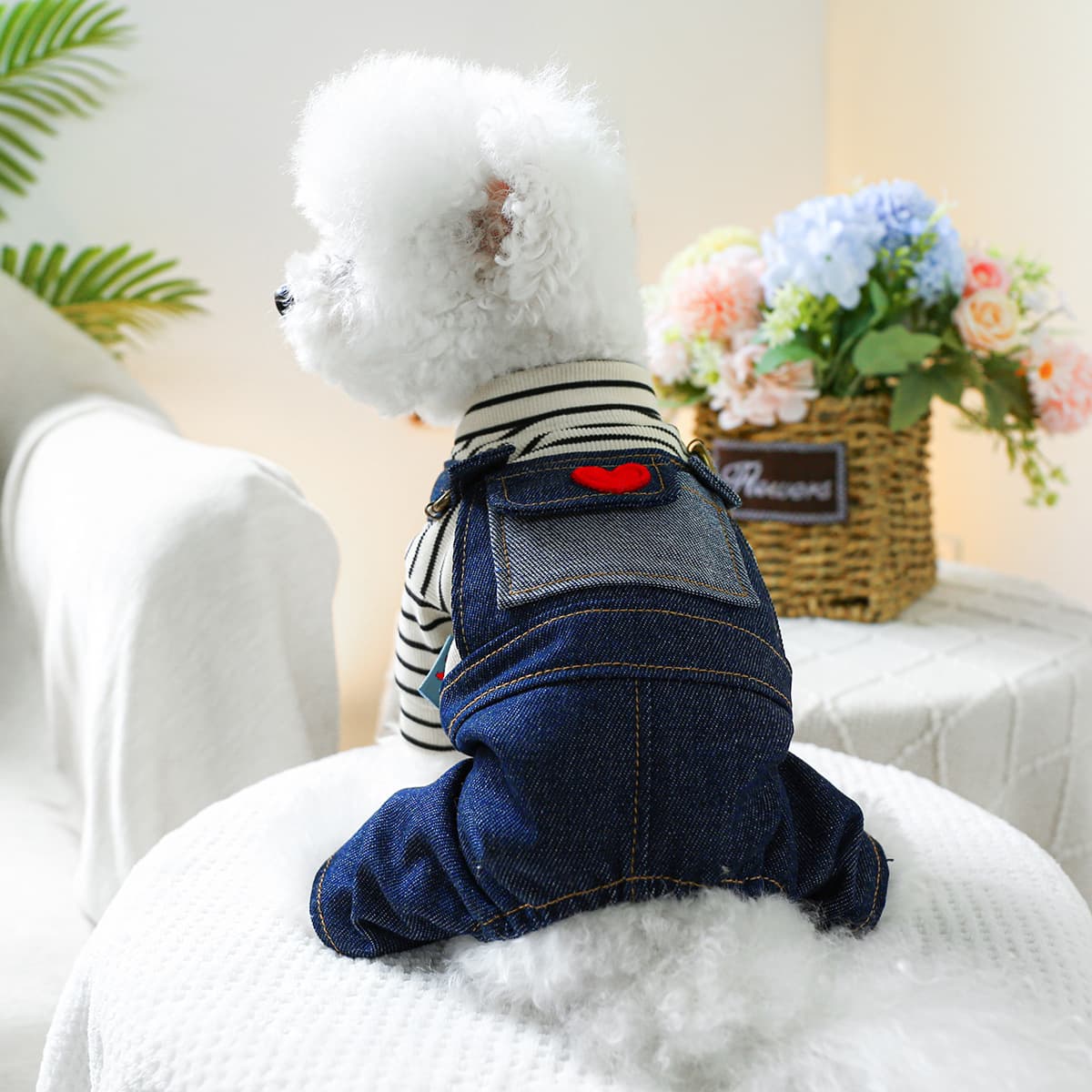 Ropa para perro cuatro patas con diseño vintage corazón