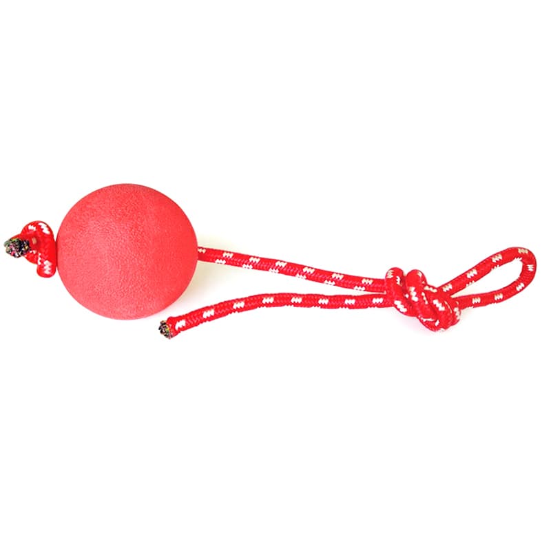 Pelota elástica sólida resistente a mordidas