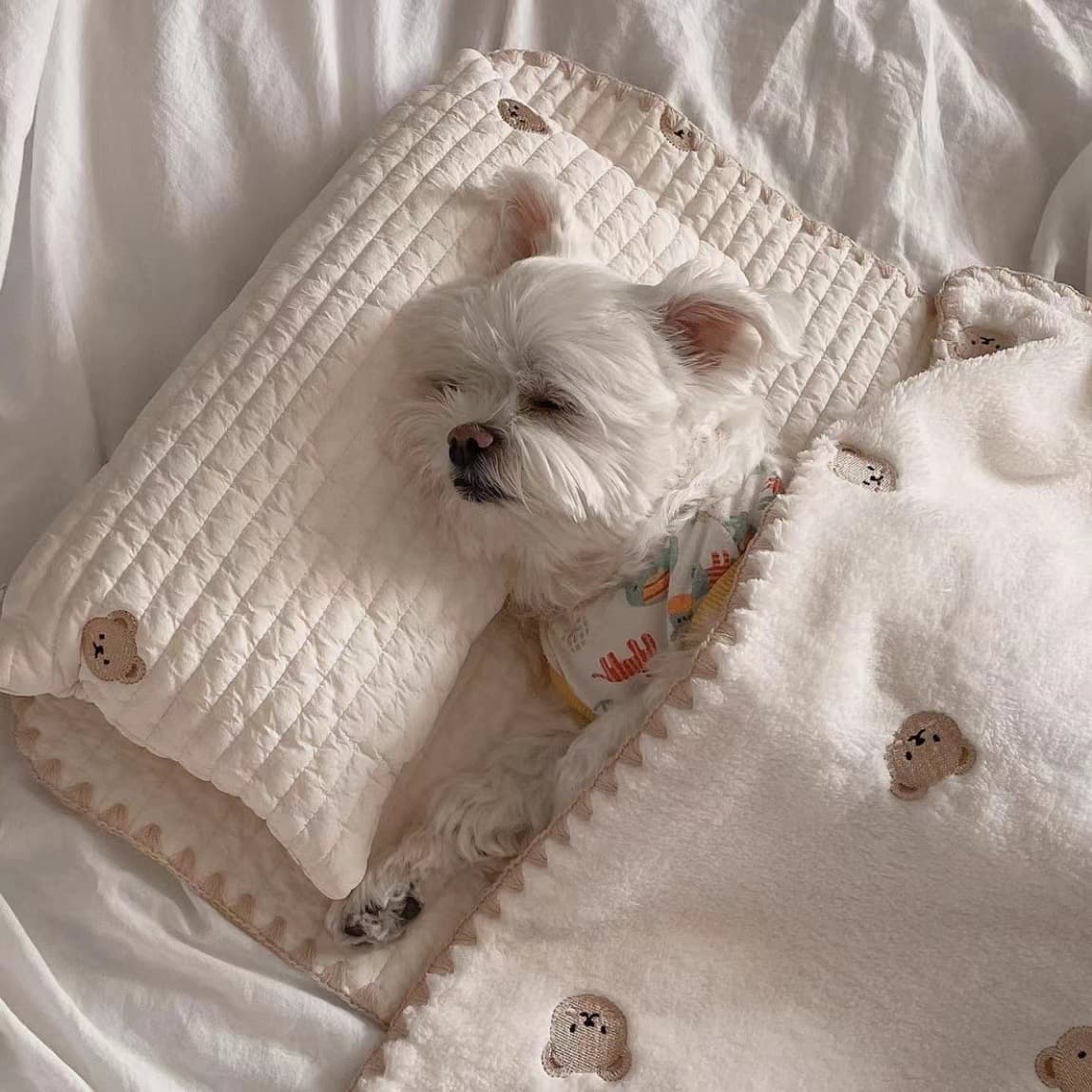 Cama cuadrada para perro removible y lavable
