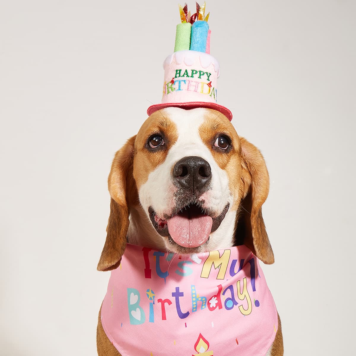 Accesorios para perro, babero triangular con impresión, cumpleaños