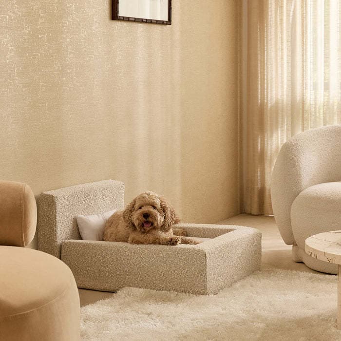 Cama para perro con colchón reforzado tipo jaula