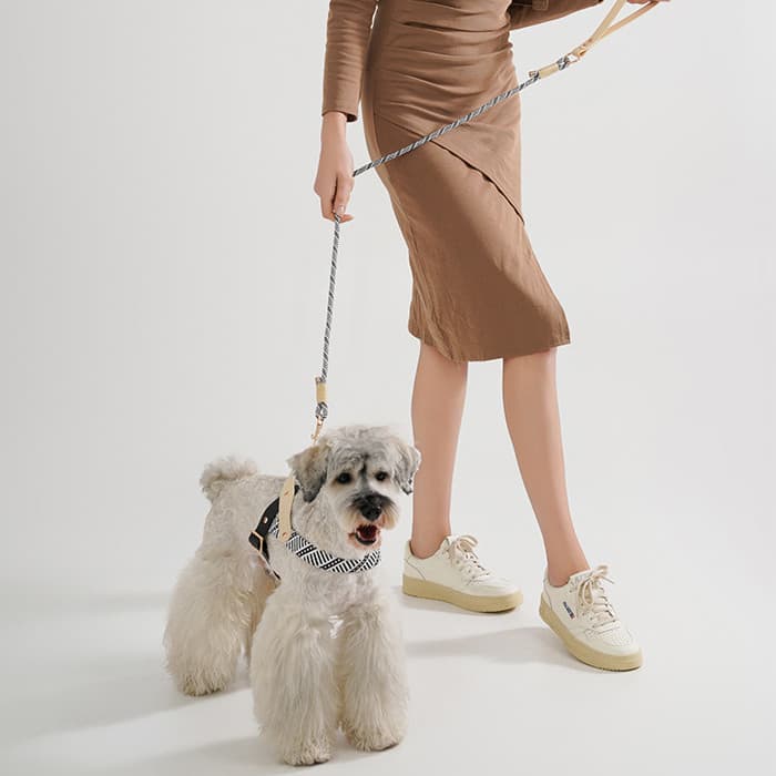 Arnés con correa para pasear perro