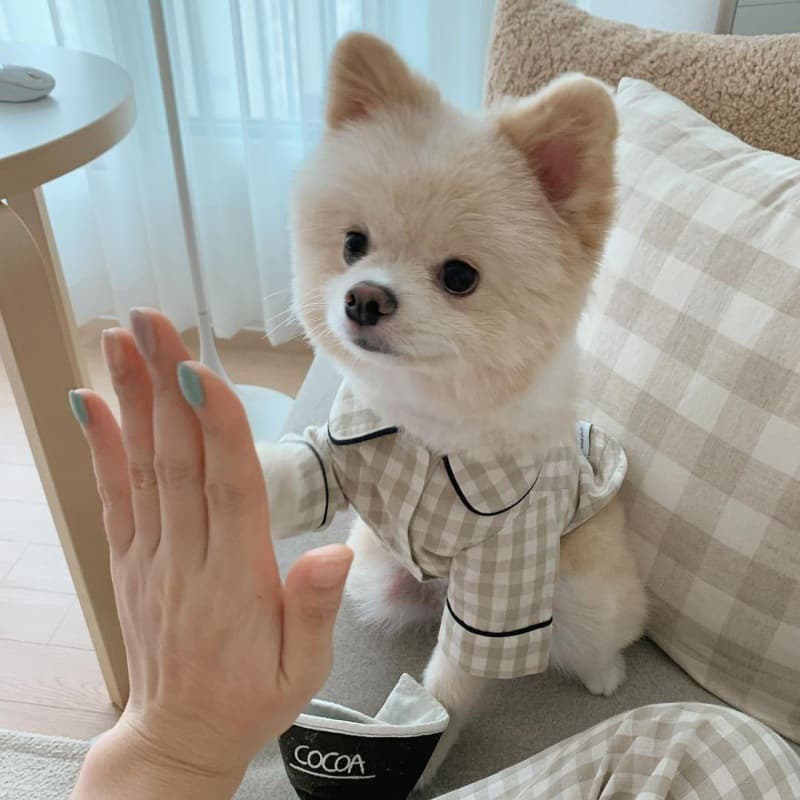 Pijama para perro a cuadros con bolsillos, diseño caqui azul