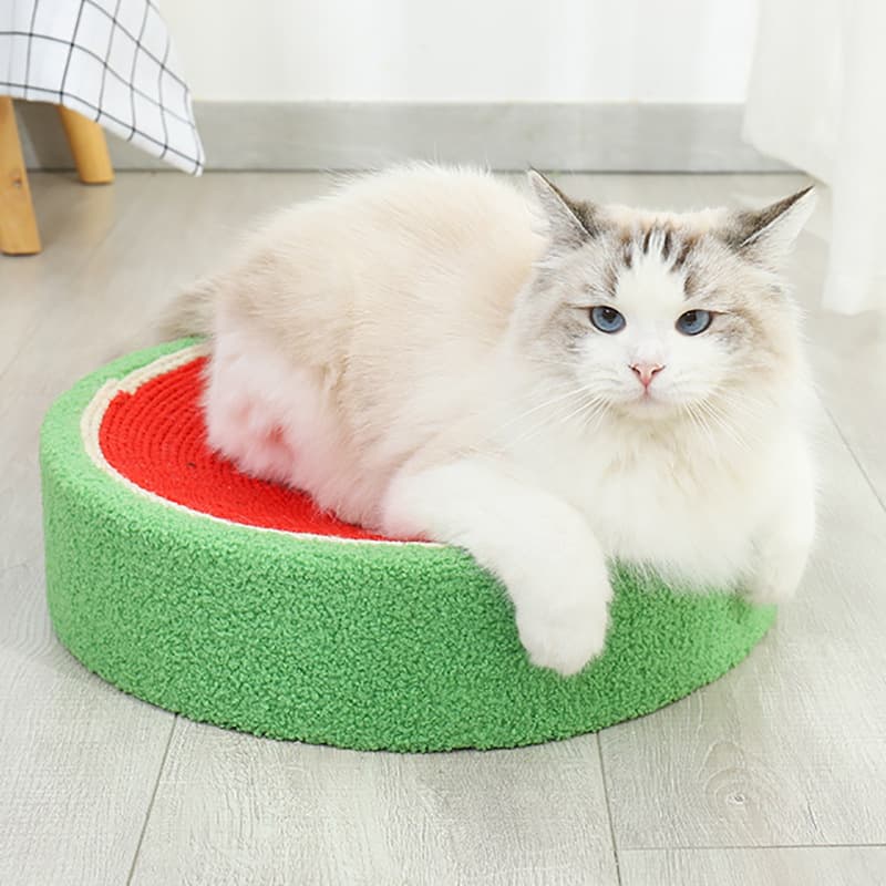 Nido rascador para gatos con sisal y diseño de cuenco