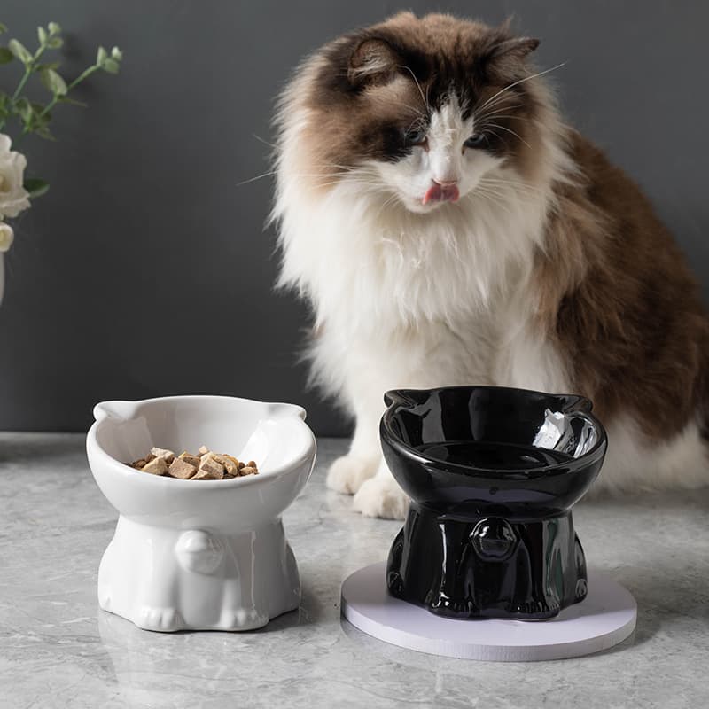 Comedero de cerámica para gatos con patas altas