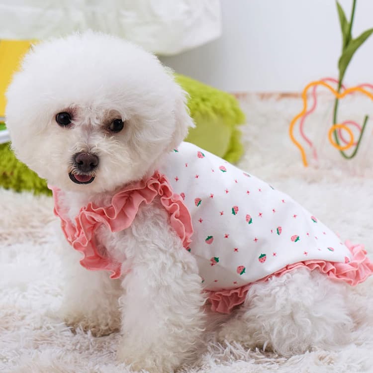 Falda fresca de verano para perro o gato pequeño