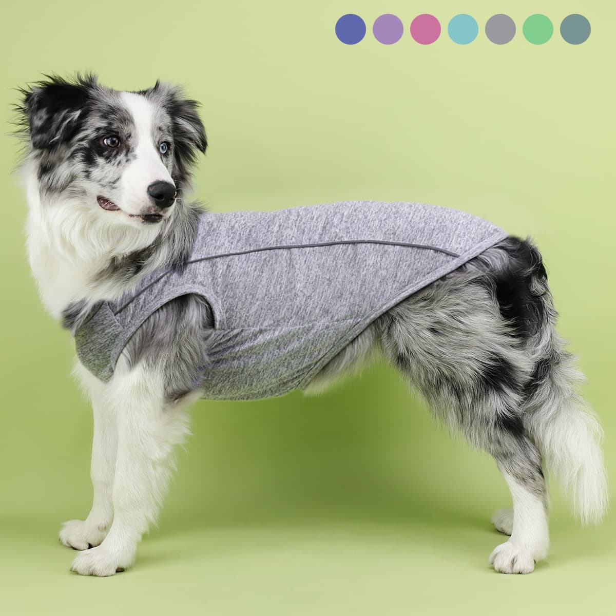 Ropa reflectante luminosa para perros pequeños