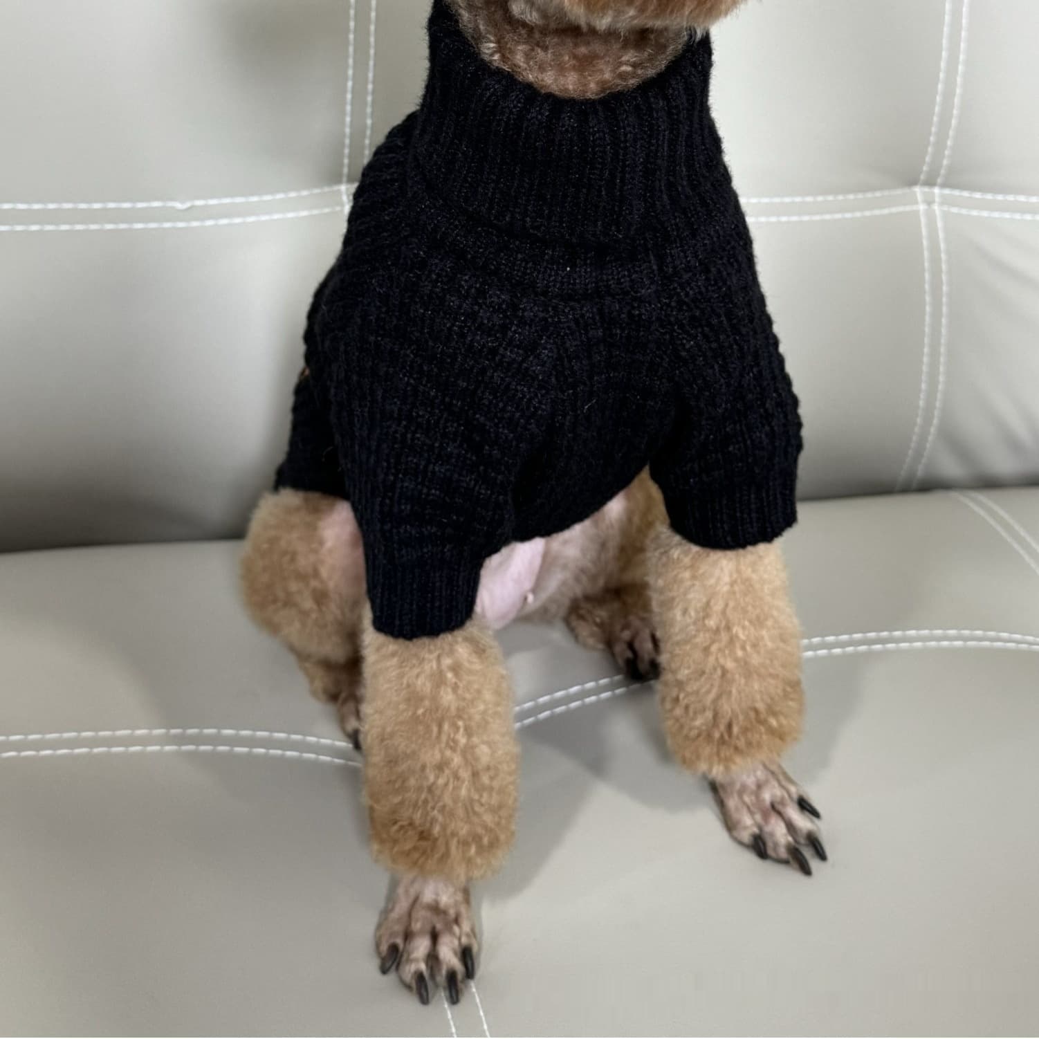 Suéter de cuello alto tejido para gatos y perros