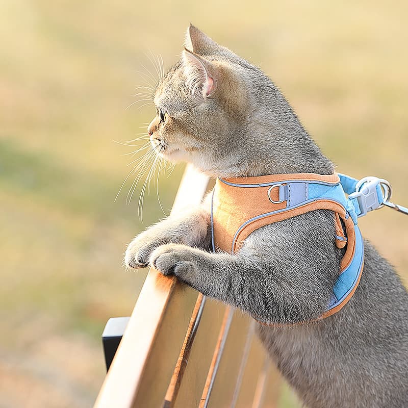 Arnés de tracción para gatos con correa integrada