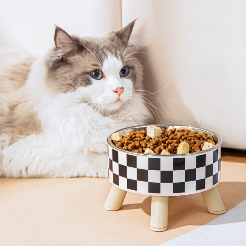 Comedero para mascota con patas altas