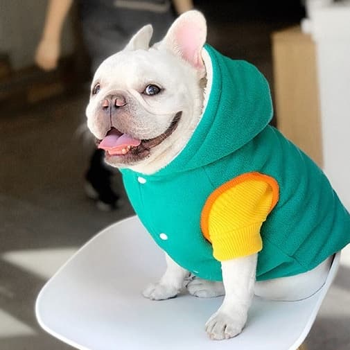 Abrigo reversible térmico para perros y gatos
