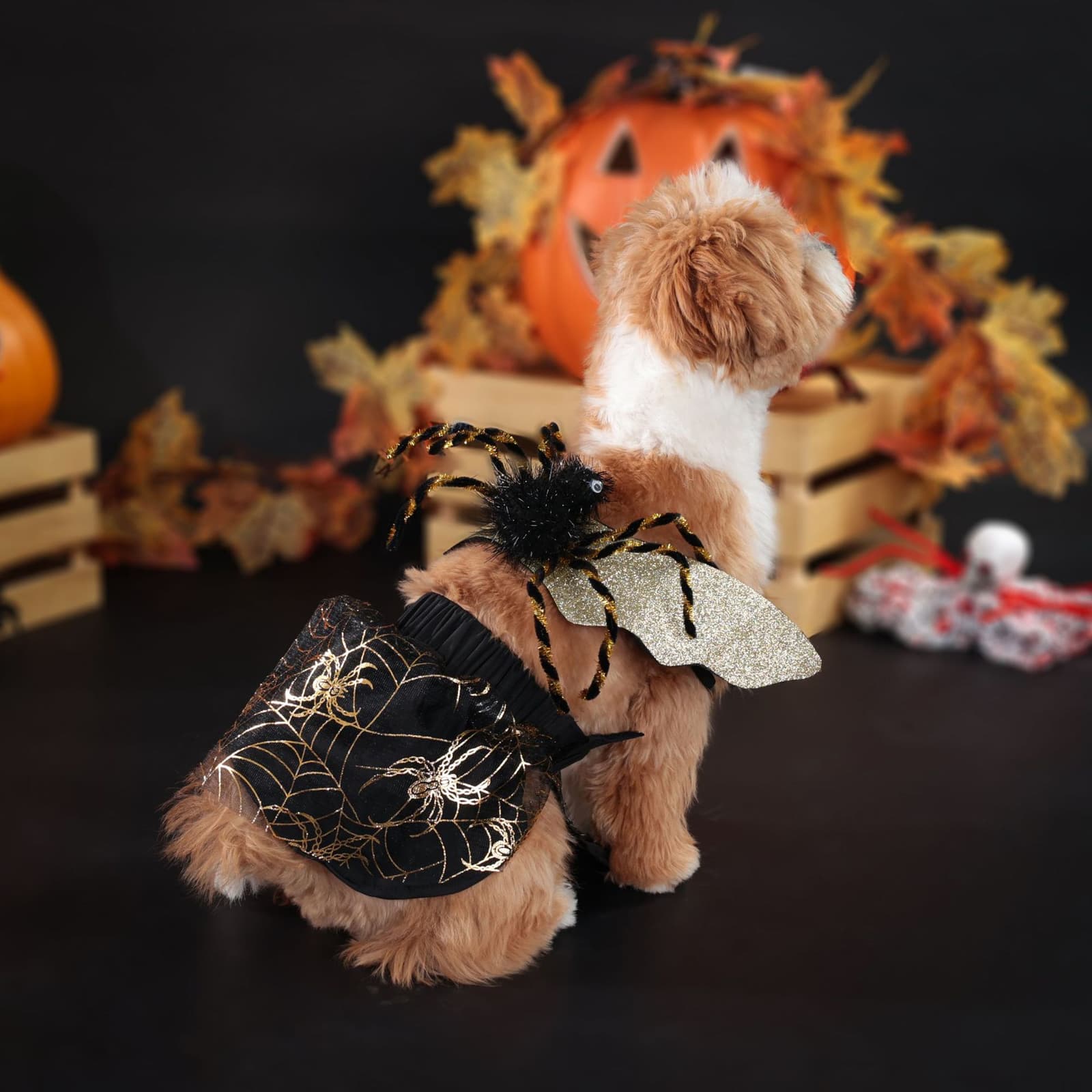 Disfraz para perro Halloween, traje de fiesta