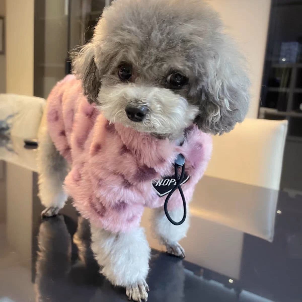 Suéter térmico grueso para perros con forro polar