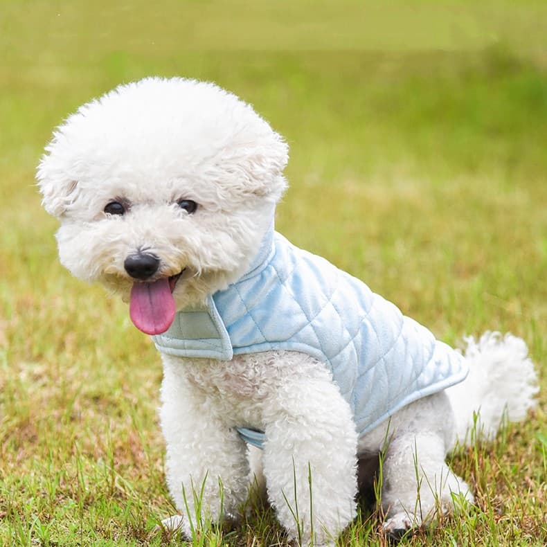 Ropa de terciopelo cálida para mascotas de otoño e invierno