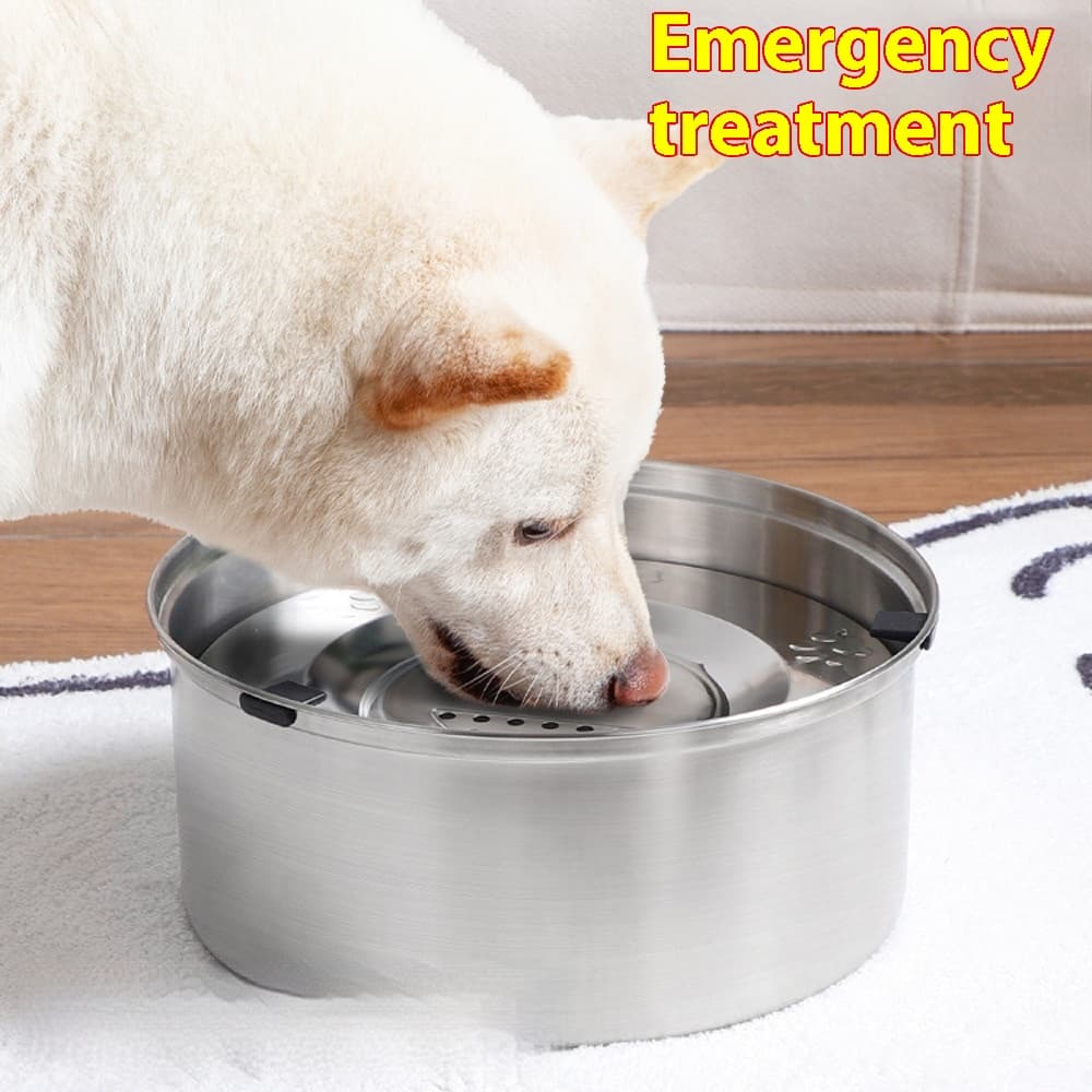Comedero de acero inoxidable de gran capacidad para mascotas