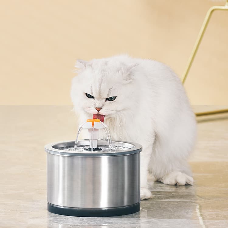 Fuente de agua para mascotas de acero inoxidable