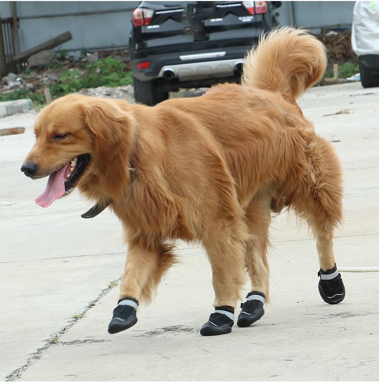Zapatos para perros grandes, resistentes y transpirables