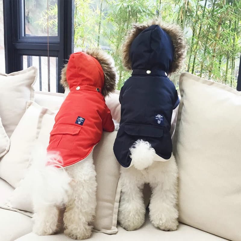 Abrigo de algodón con capucha para mascotas