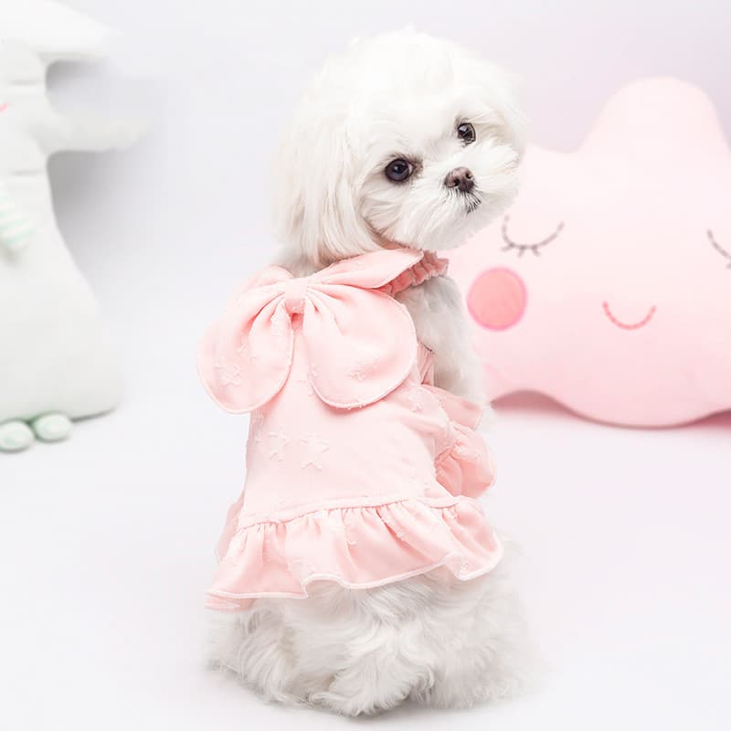 Falda tirantes dulce para perro pequeño