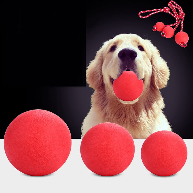 Pelota sólida de caucho para perros de múltiples tamaños