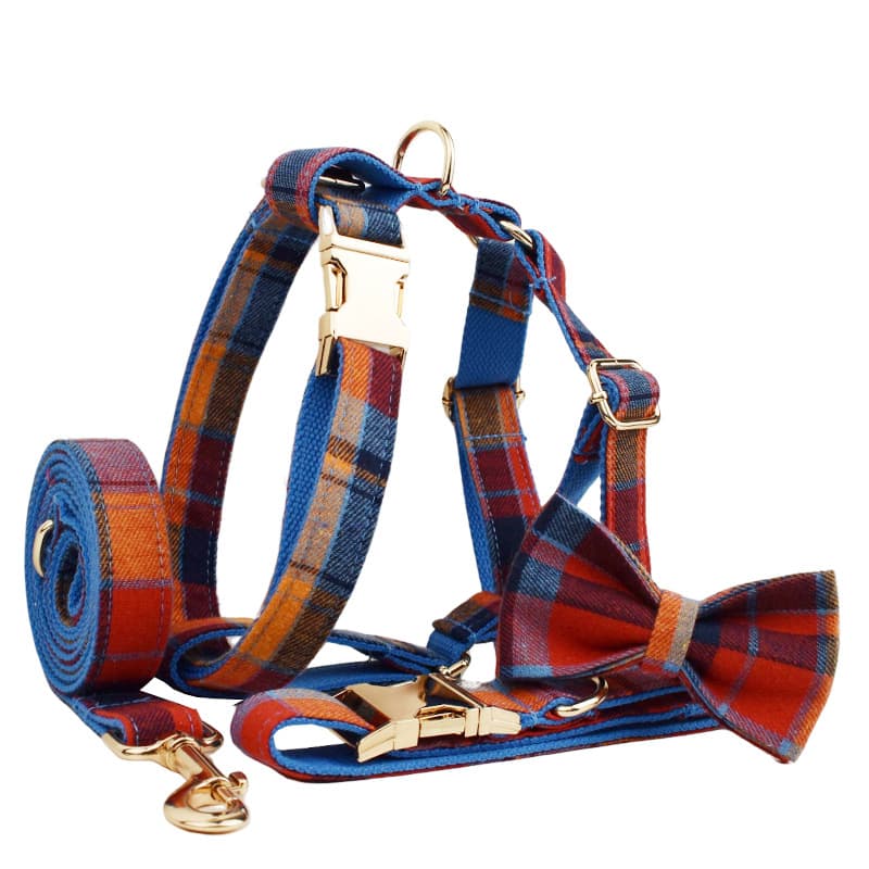 Collar y accesorios elegantes para mascota
