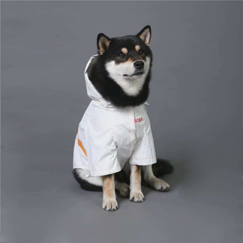 Impermeable reflectante tipo traje espacial para perro