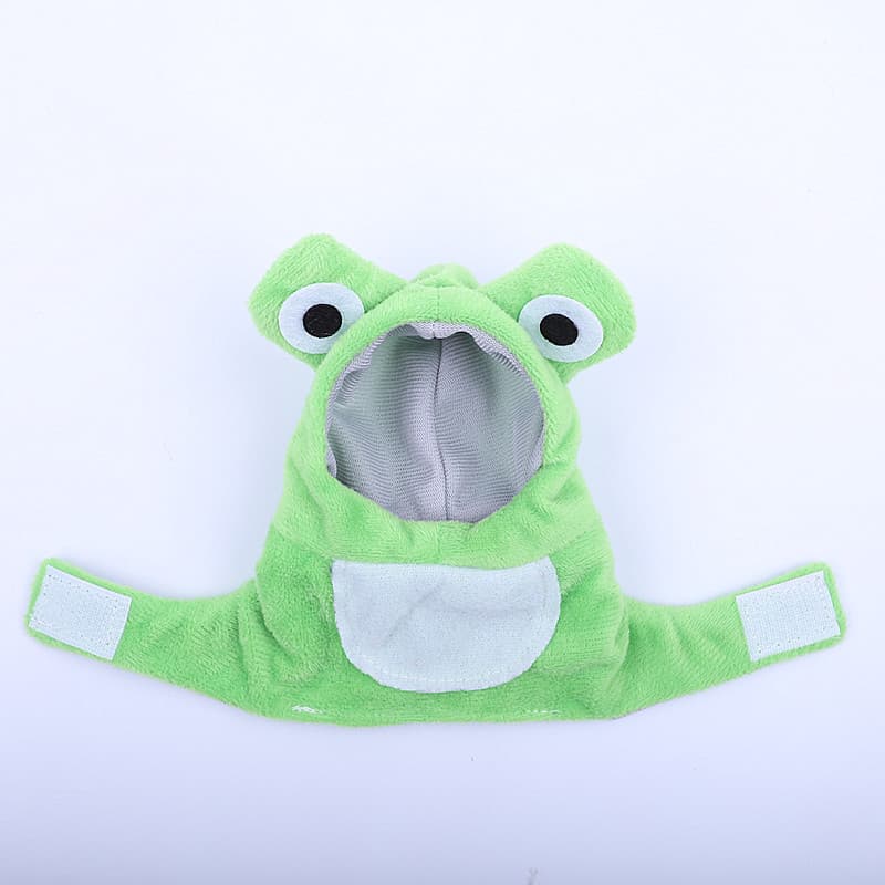 Disfraz creativo hecho a mano para mascotas