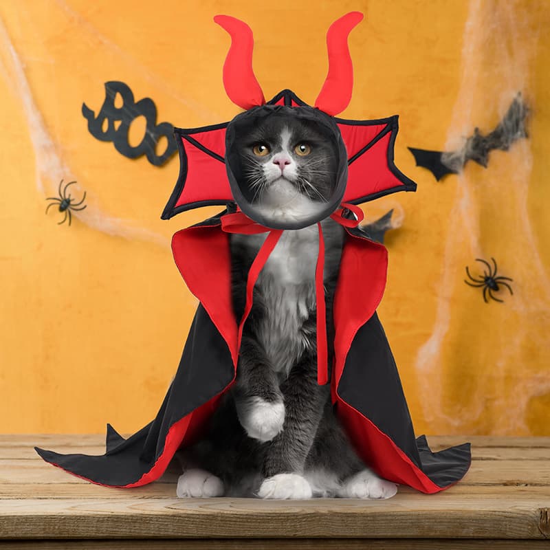 Disfraz de vampiro para mascotas con capa y sombrero
