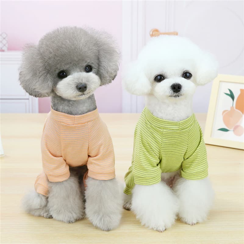 Pijama VIP para gatos y perros pequeños