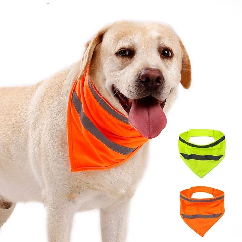 Bandana reflectante para perros visibilidad nocturna