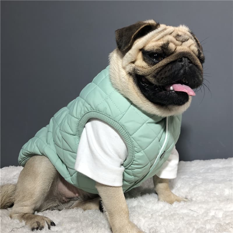 Chaleco cálido de algodón para perro
