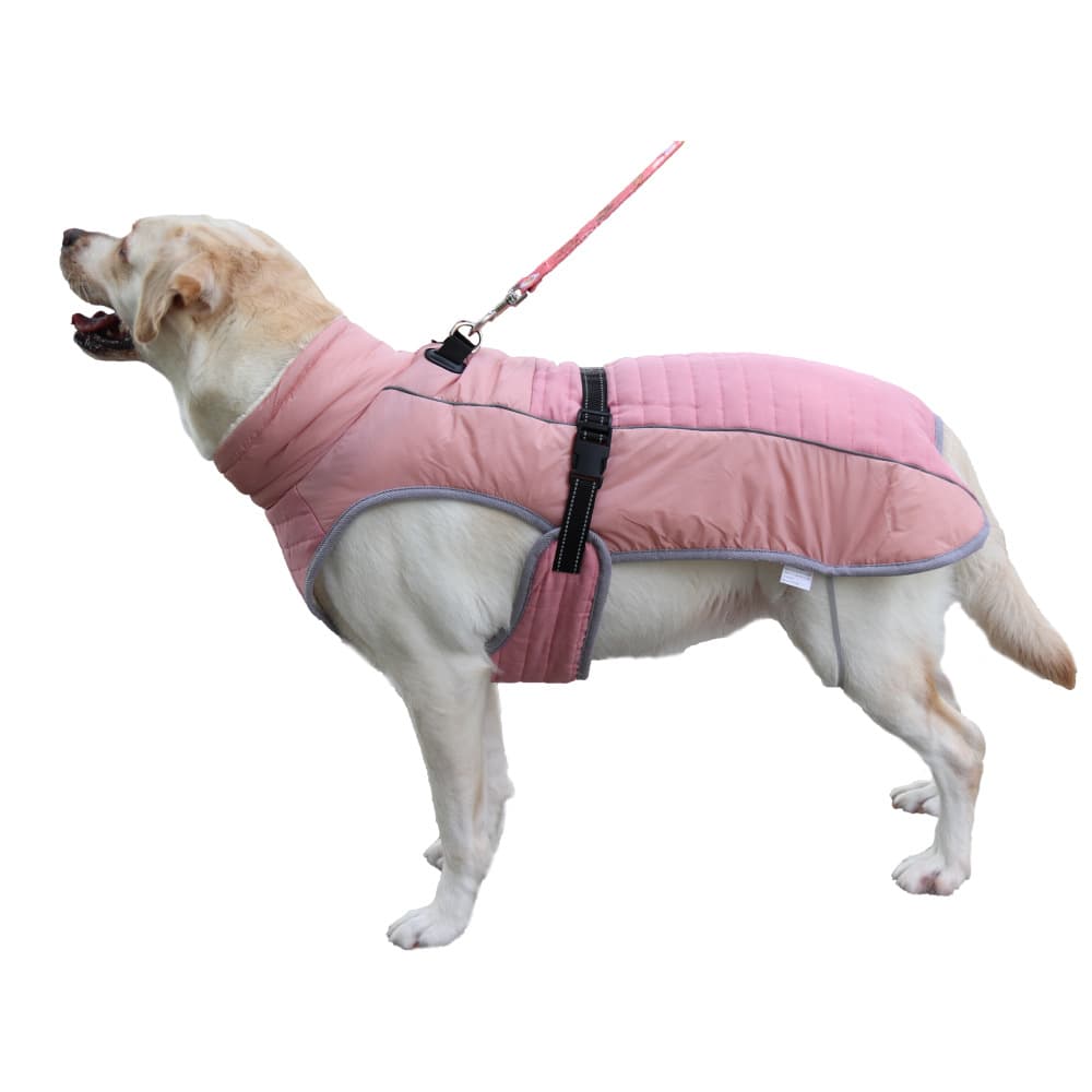 Ropa acolchada y reflectante para mascotas