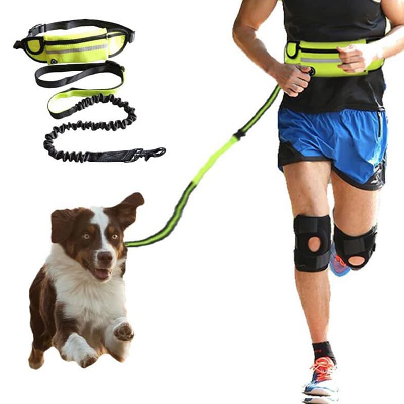 Cinturón ajustable para caminar perros sin manos