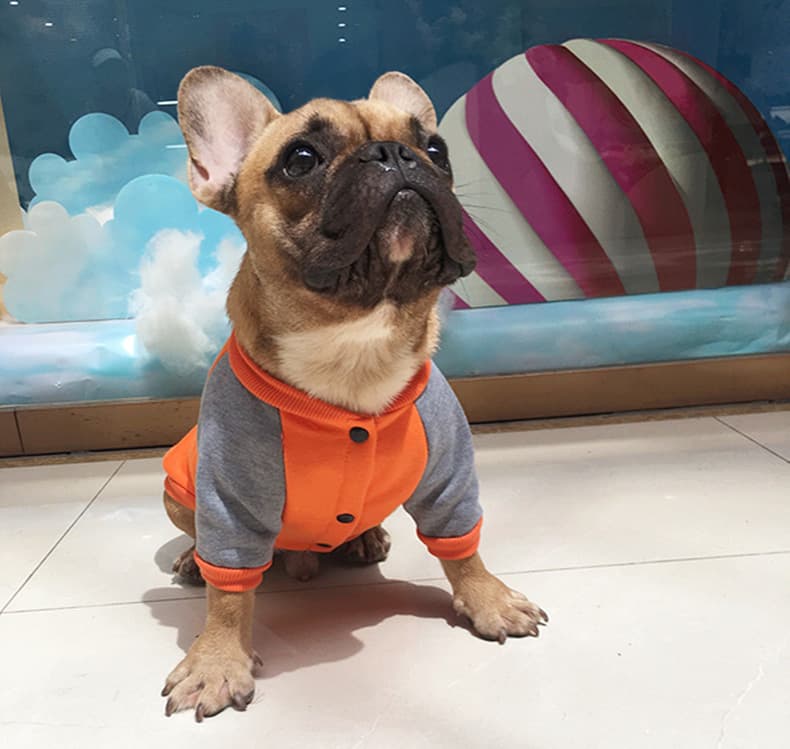 Suéter de terciopelo para perros pequeños y medianos