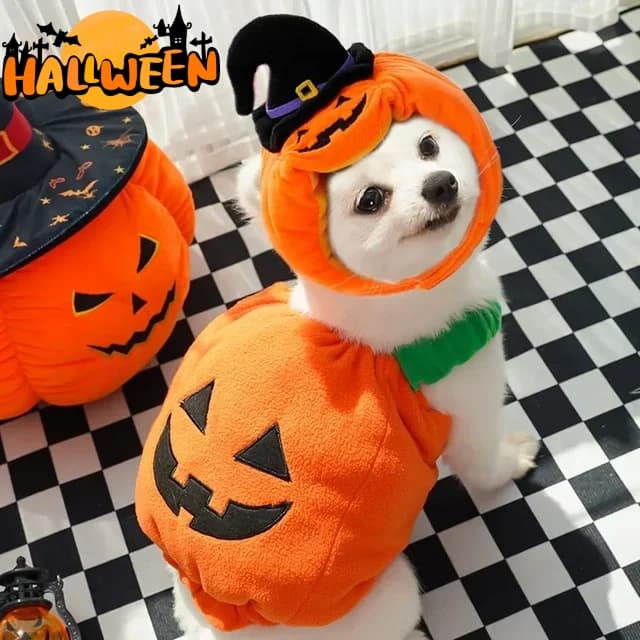 Disfraz de Halloween calabaza para mascotas, cómodo y festivo