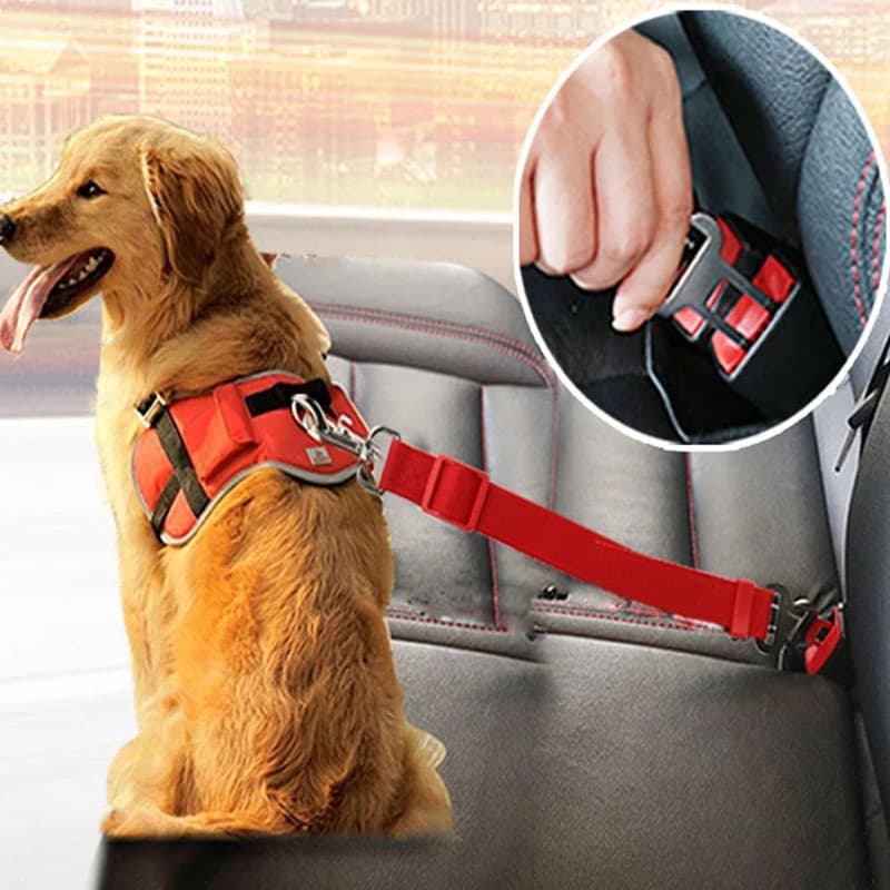Cinturón de seguridad ajustable para mascotas en vehículo