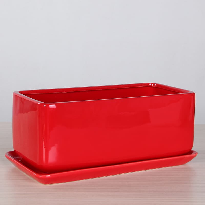 Maceta cerámica decorativa para bonsái con bandeja