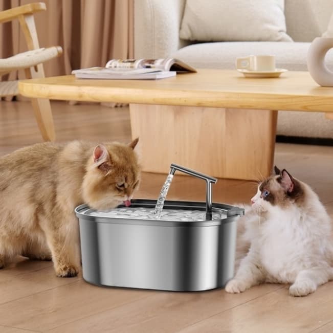 Bebedero de agua para mascotas con purificación