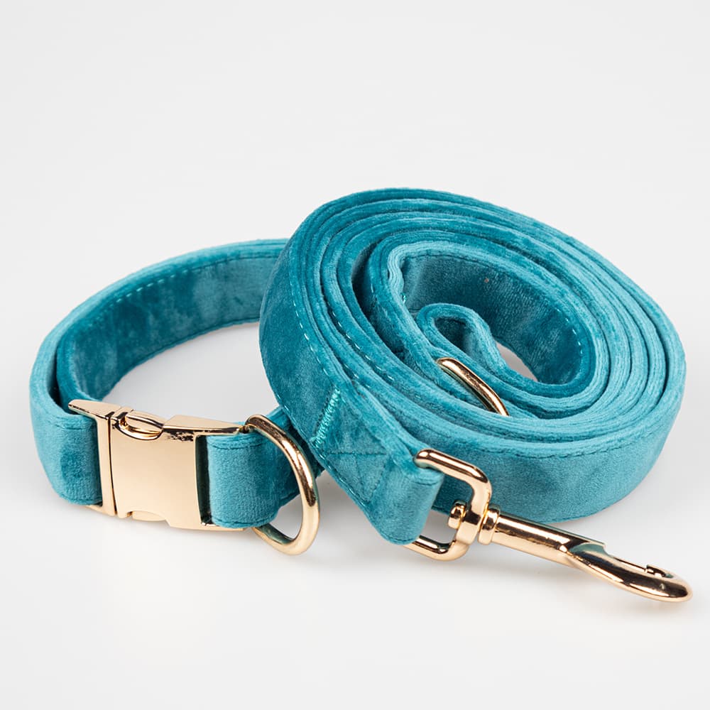 Collar de terciopelo con broche metálico para mascotas
